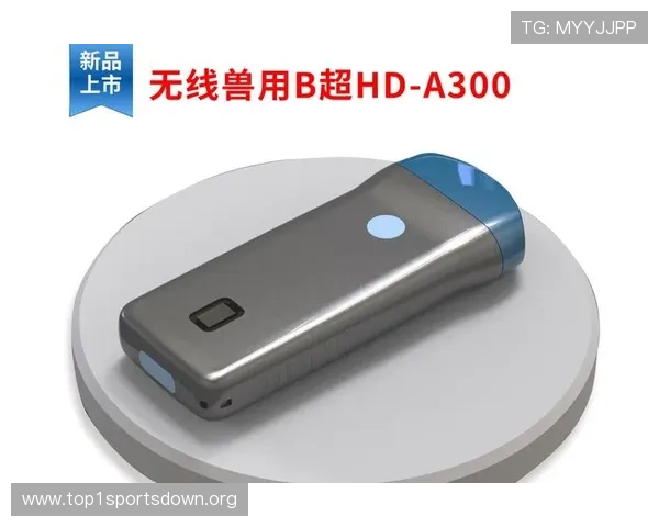 尊龙凯时游戏官网最新版本上线，全面优化游戏体验与安全保障