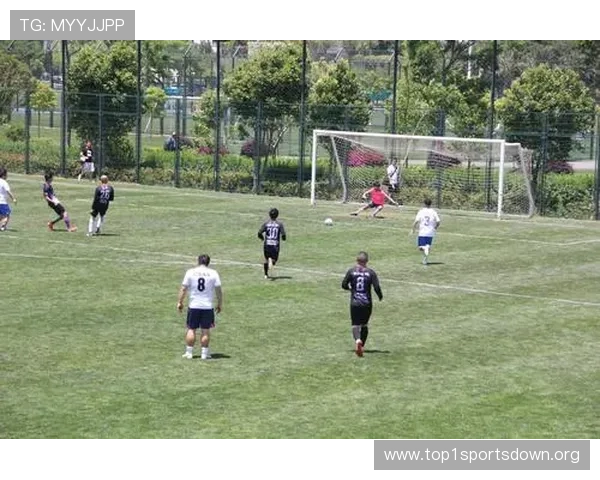 乐动体育比赛活动的最佳准备方案，助你轻松应对各种比赛挑战